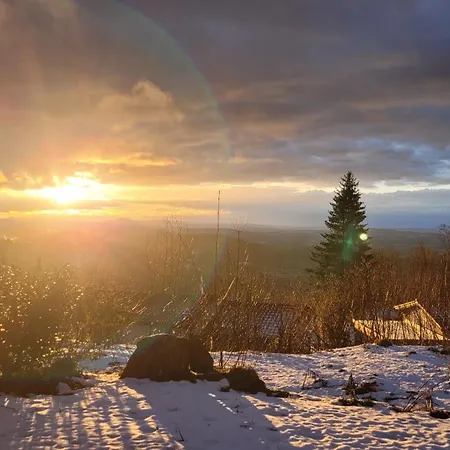 Ferienbungalow Sonnenwald Bayerischer Wald Ferienhaus Schöfweg