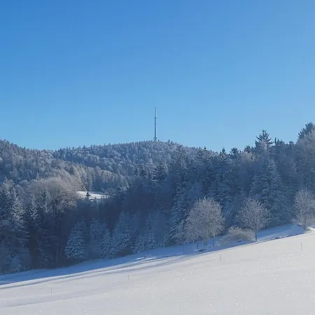 펜션 Ferienbungalow Sonnenwald Bayerischer Wald