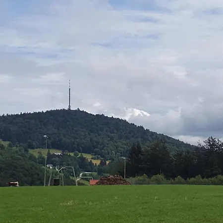 Ferienbungalow Sonnenwald Bayerischer Wald Schöfweg