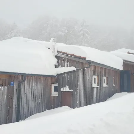 Ferienbungalow Sonnenwald Bayerischer Wald Semesterbostad