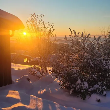 Ferienbungalow Sonnenwald Bayerischer Wald Hébergement de vacances Schöfweg