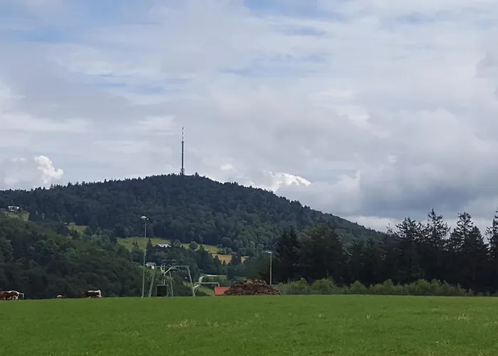 Ferienbungalow Sonnenwald Bayerischer Wald Schöfweg