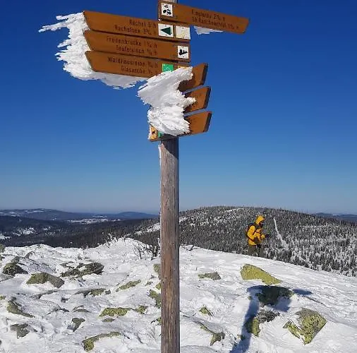 بيت للعطل Ferienbungalow Sonnenwald Bayerischer Wald *