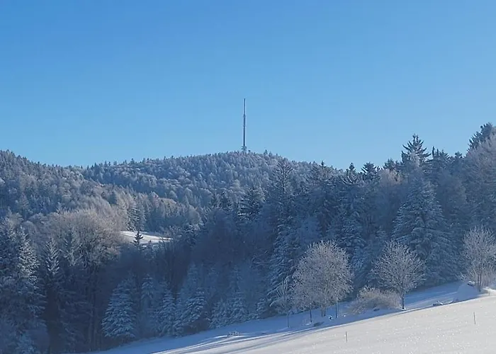 بيت للعطل Ferienbungalow Sonnenwald Bayerischer Wald